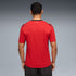 Puma Egypt National Team 2026 Home Replica Jersey Red