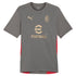 AC Milan Puma 2024/25 Training Jersey - Gray
