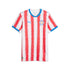 Official Paraguay National Team  2026 Home Replica Jersey - White - Jersey Teams World