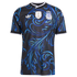 Adidas Argentina National Team 2026 Away Authentic Jersey Black