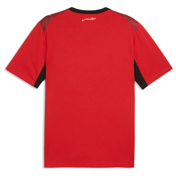Puma Egypt National Team 2026 Home Replica Jersey Red